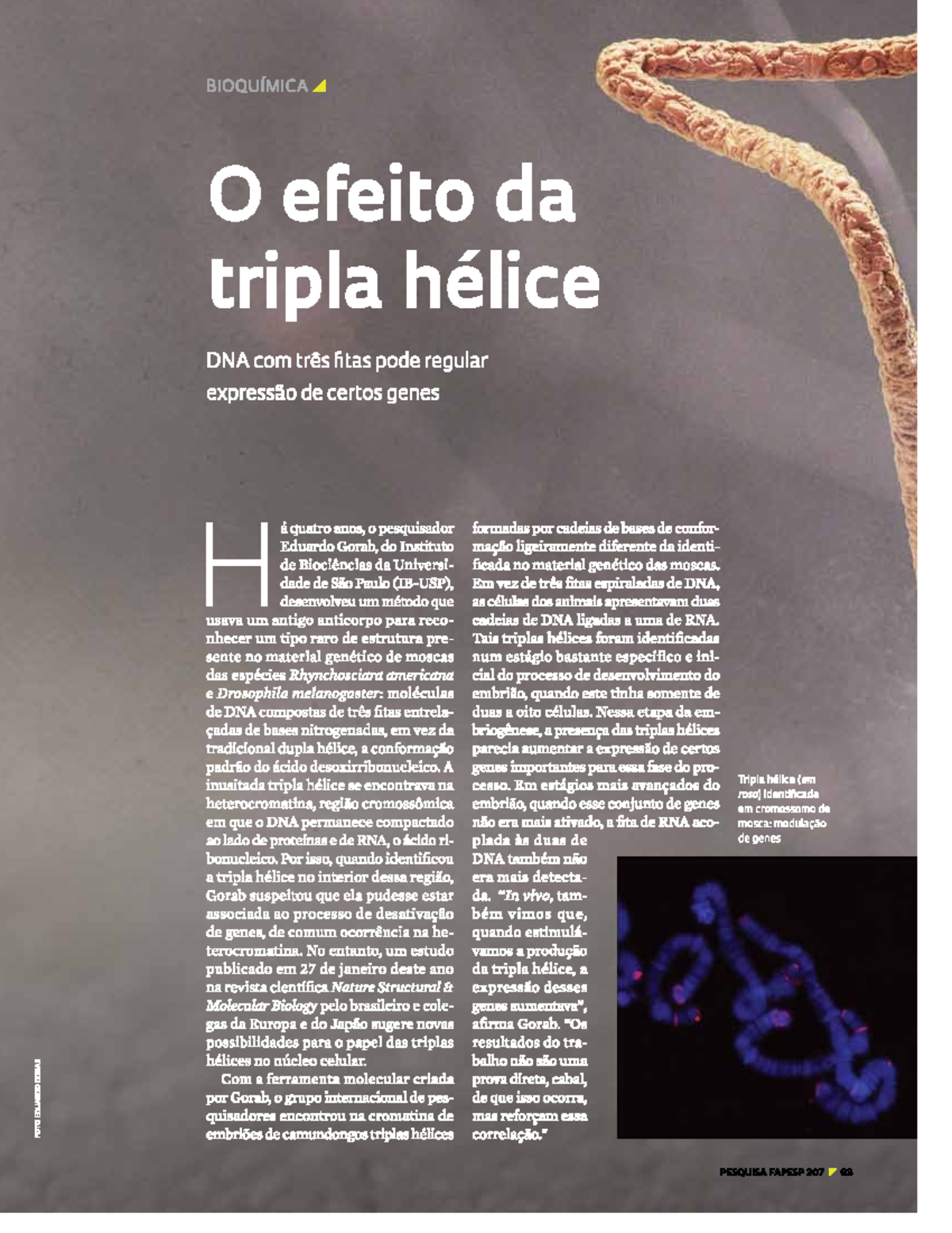 BIOQ 207 - Tripla Hélice de DNA: Regulação da Expressão Gênica - Studocu