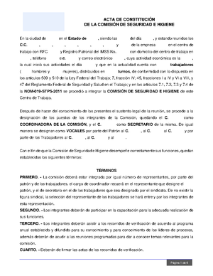 Formato de Acta de Recorridos de la CSH - DE LA COMISIÓN DE SEGURIDAD E ...