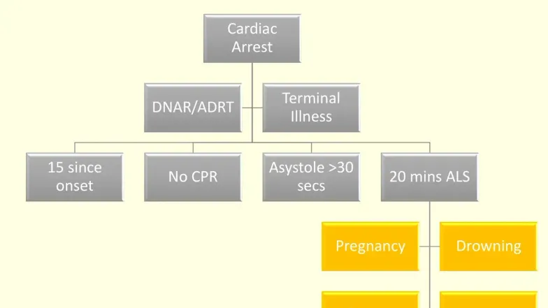 Recognition of Life Extinct: Guidelines for DNCPR and ADRT - Studocu