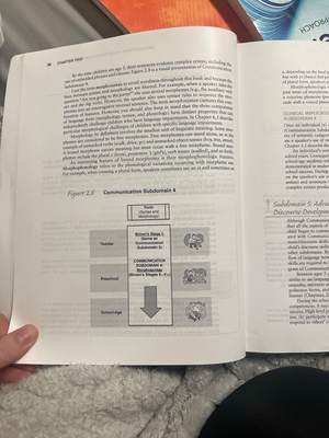 Course Code Analysis: Breakdown of Key Topics and Concepts - Language ...