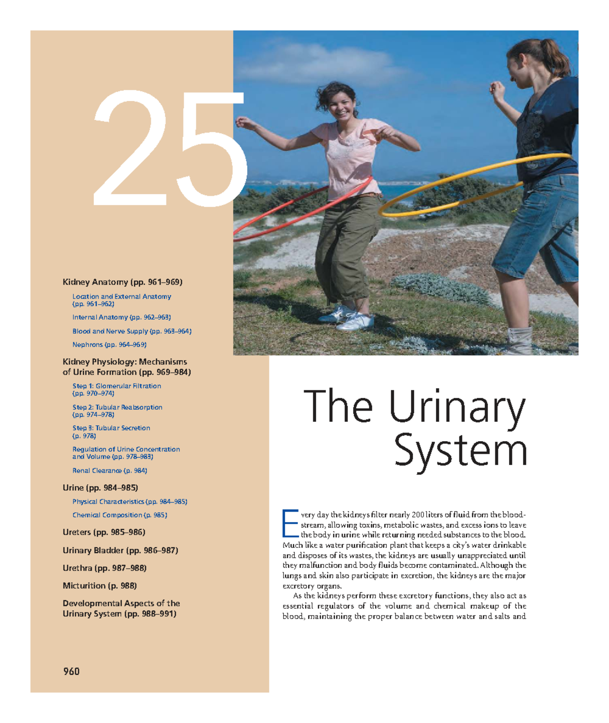 Marieb Chapter 25: Kidney Anatomy and Urinary System Physiology - Studocu