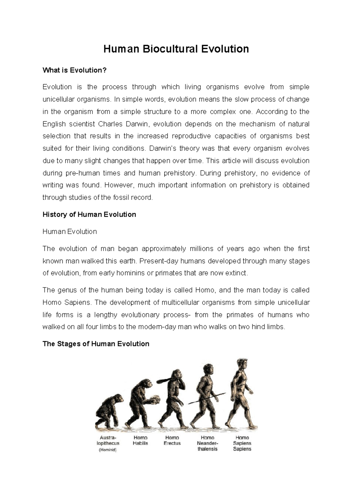 Human Biocultural Evolution: Understanding Human Evolution Stages - Studocu