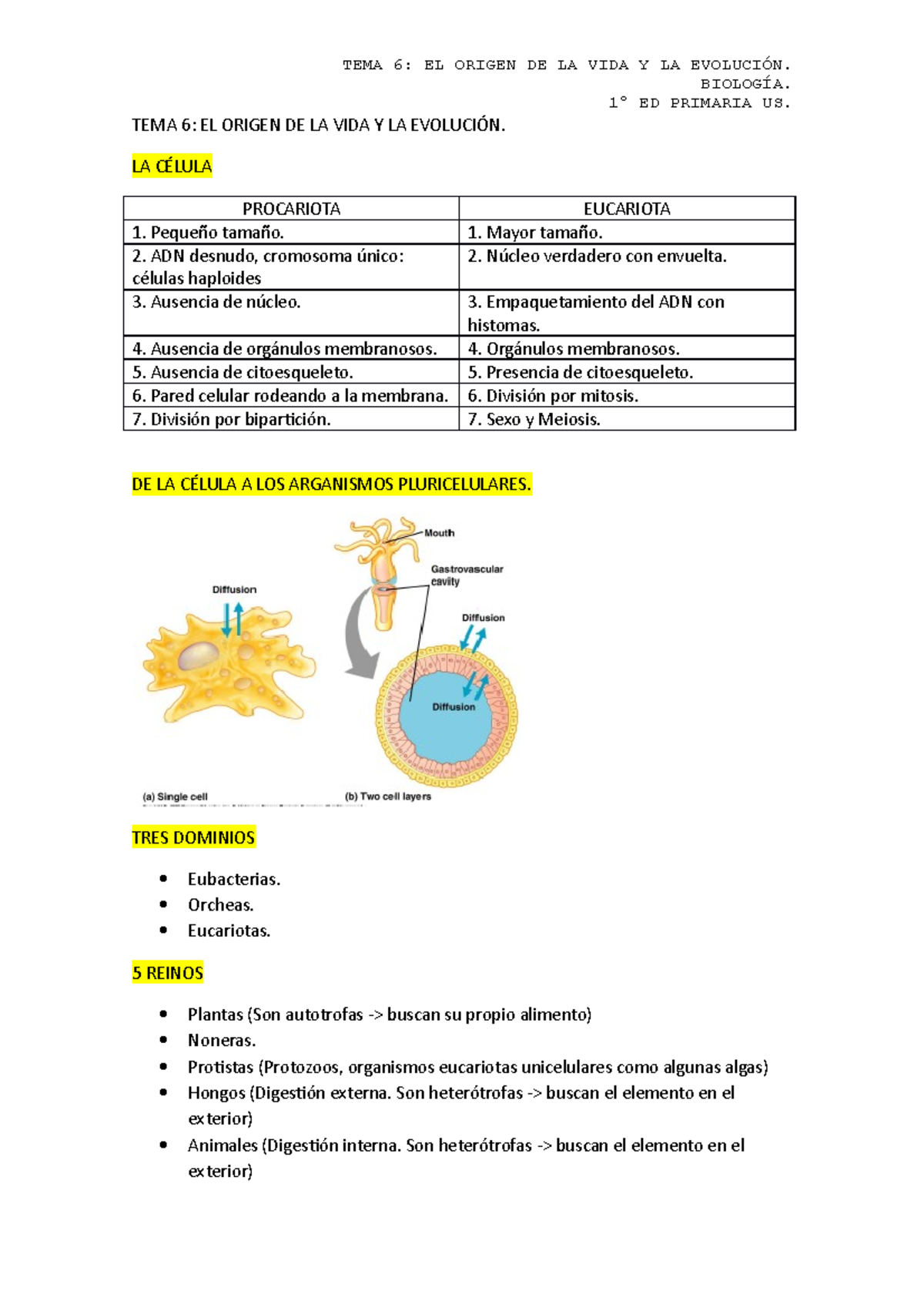 Apuntes Tema 6 biología - TEMA 6: EL ORIGEN DE LA VIDA Y LA EVOLUCIÓNÍA ...