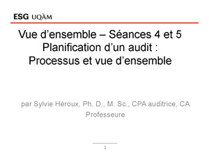 Sco 6004 note étude pour intra - NCA 240 : Responsabilité de l’auditeur ...
