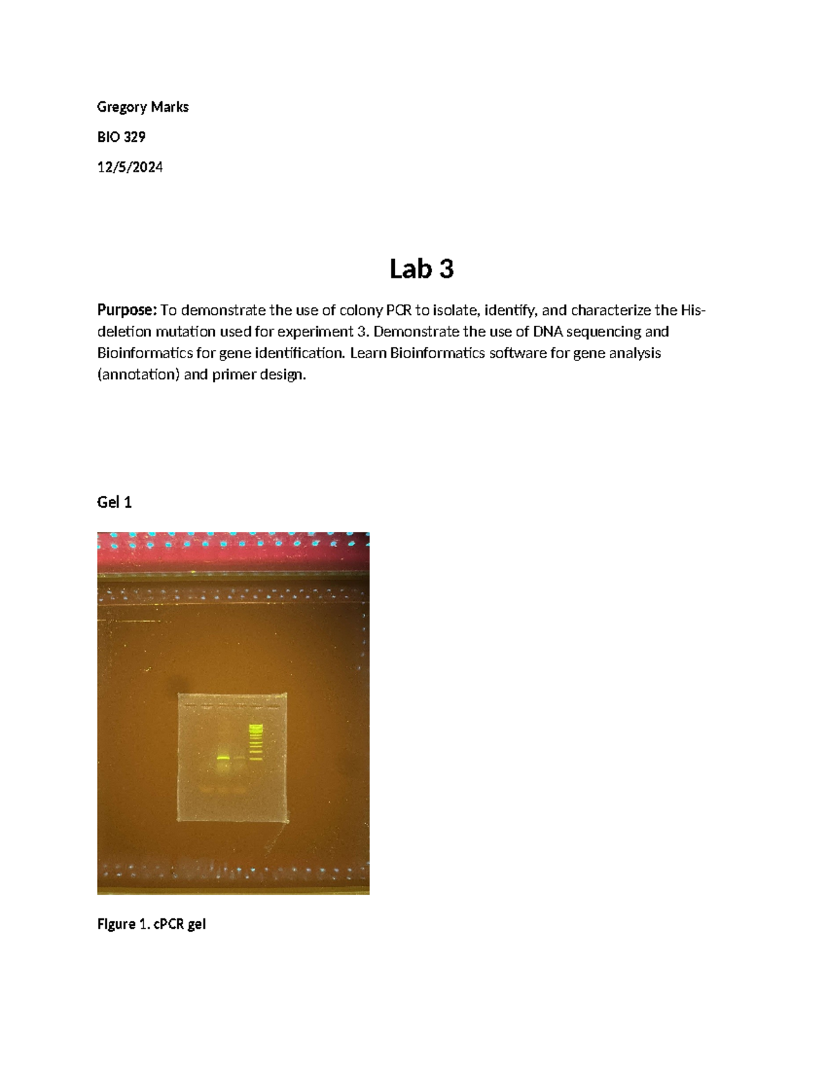 Lab 3 and 4 - Lab Reports 3 and 4 for Genetics Lab - Gregory Marks BIO ...