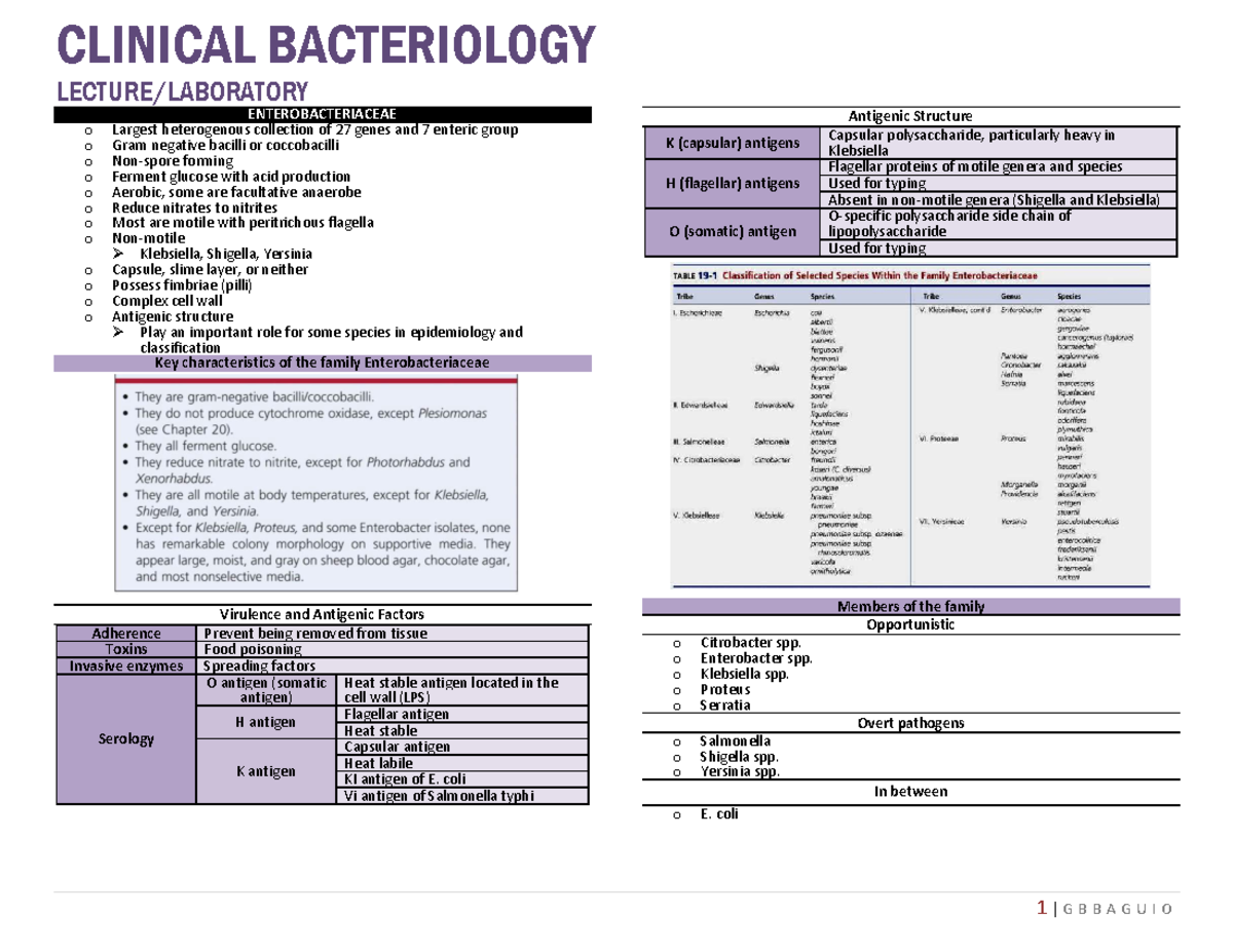 CLINICAL BACTERIOLOGY: Enterobacteriaceae Overview and Key ...