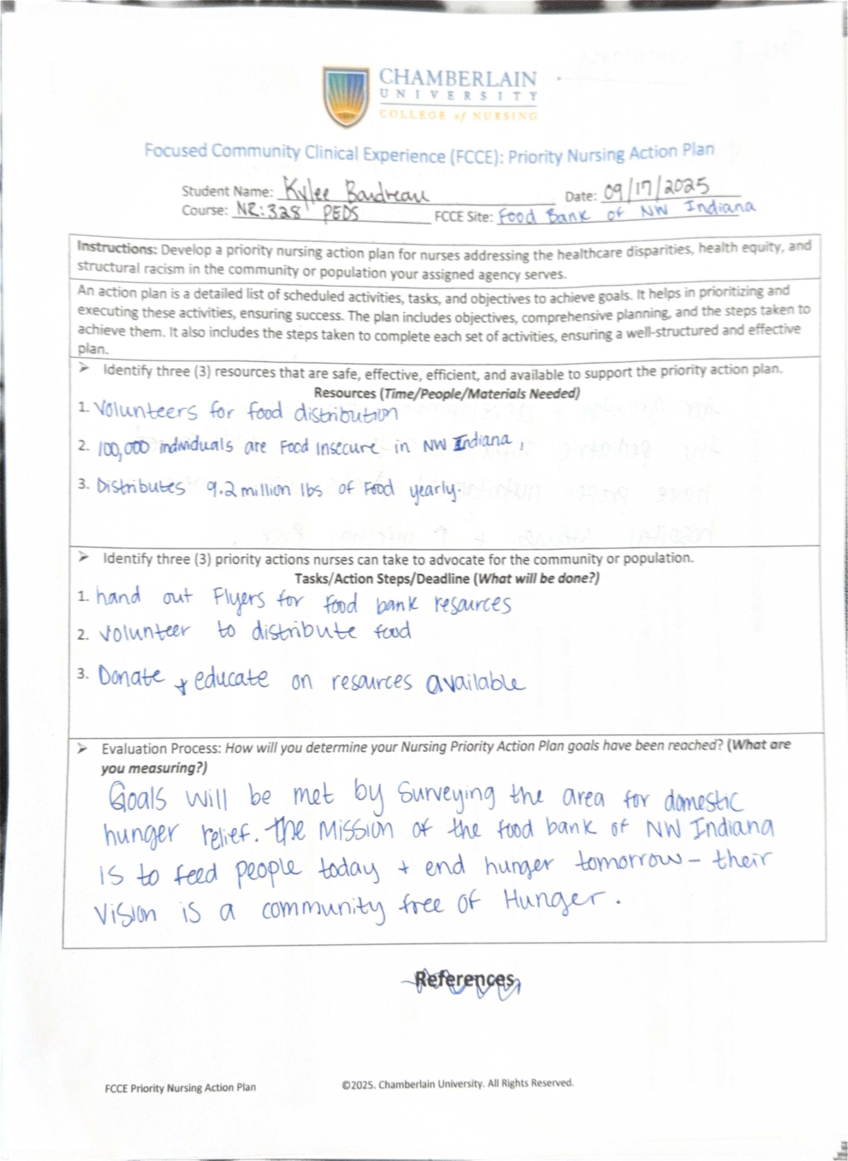 NR:328 PEDS FCCE Priority Nursing Action Plan for Community Health ...