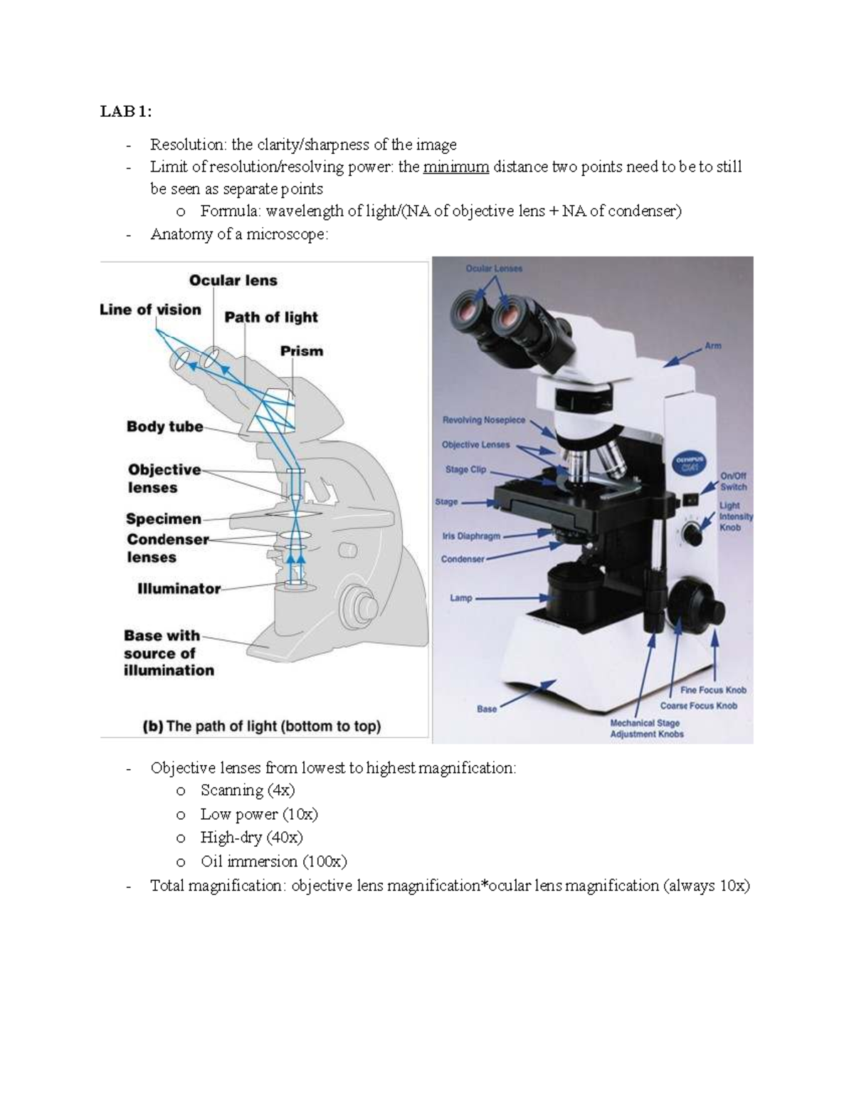 Final Study Guide for BIOL 101: Microbiology Labs 1-10 - Studocu