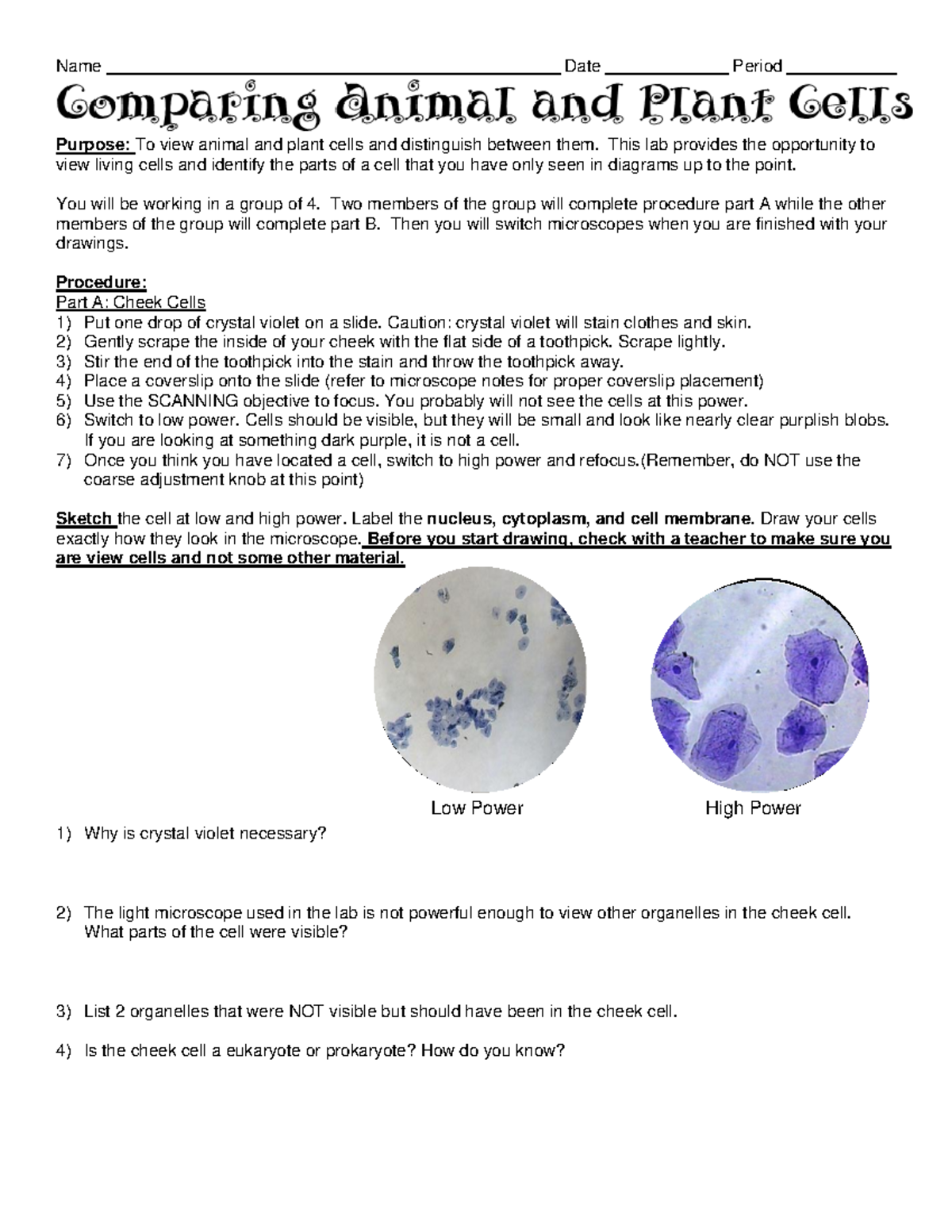 Parts Of A Cheek Cell