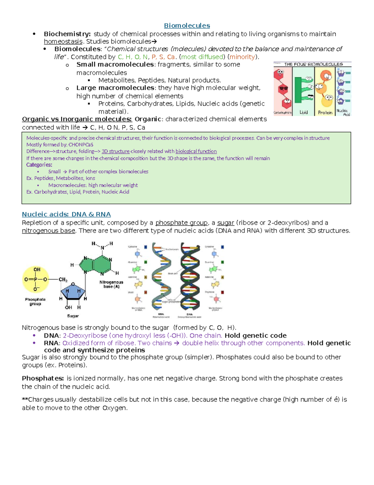 Biomolecules Biochemistry Exam Sample: Key Concepts and Processes - Studocu