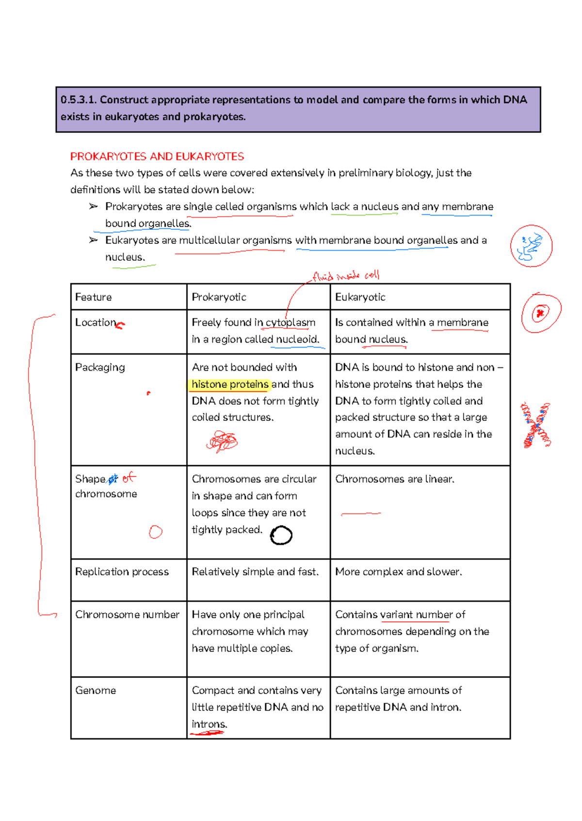 M5IQ3 - DNA Forms in Eukaryotes vs Prokaryotes and Polypeptide ...