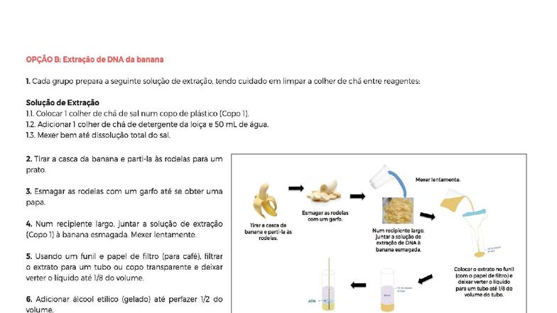 Extração de DNA da Banana: Protocolo de Experiência Prática - Studocu