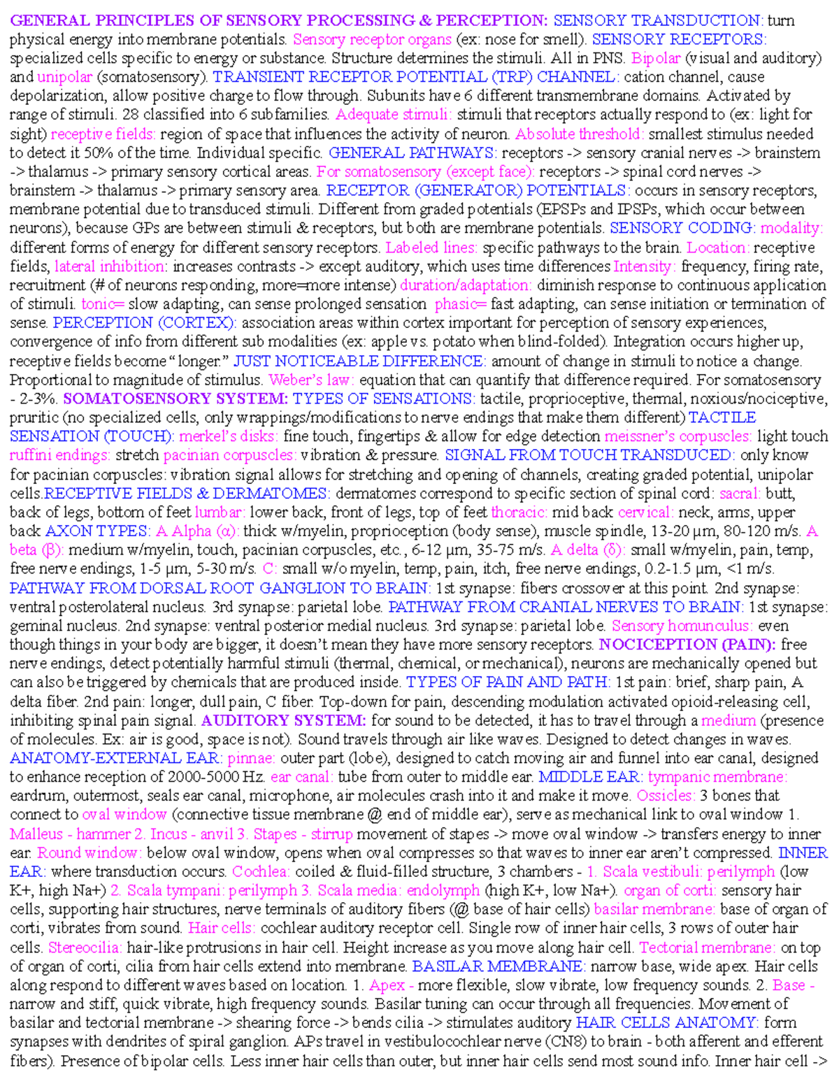 FBBC Sensory Processing & Perception Cheat Sheet for Exam 3 - Studocu
