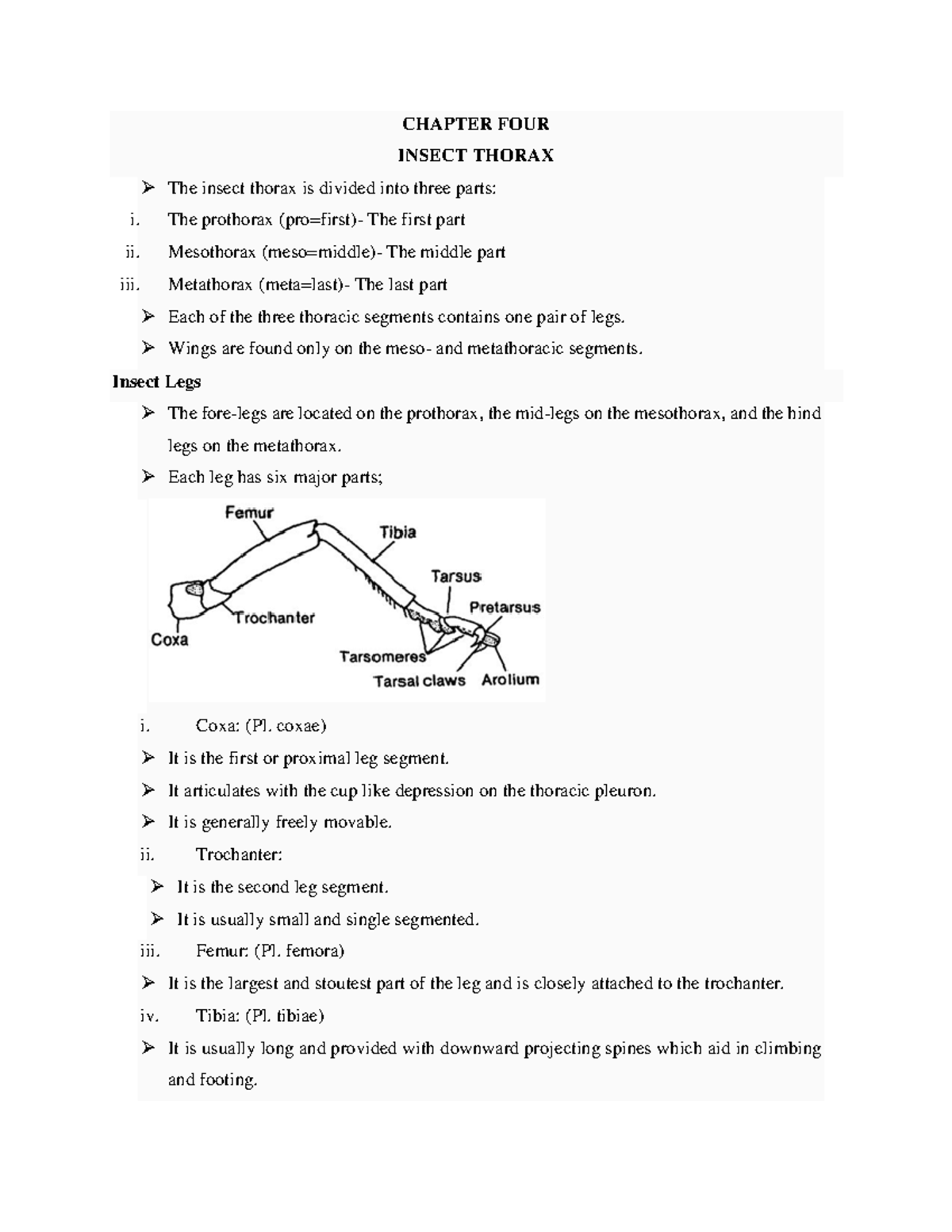 SZL 2401 - Entomology Lecture Notes: Insect Thorax and Wings - Studocu