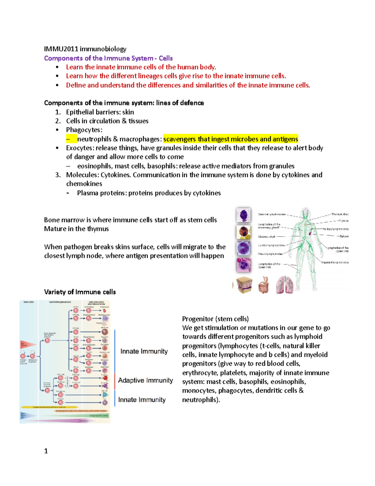 IMMU2011 Immunobiology: Overview of Immune System Components (Weeks 1-4 ...