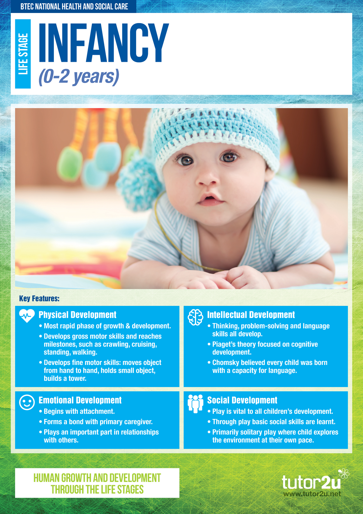 Tutor 2u BTEC HSC Unit 1 Life Stages Posters - infancy (0-2 years ...