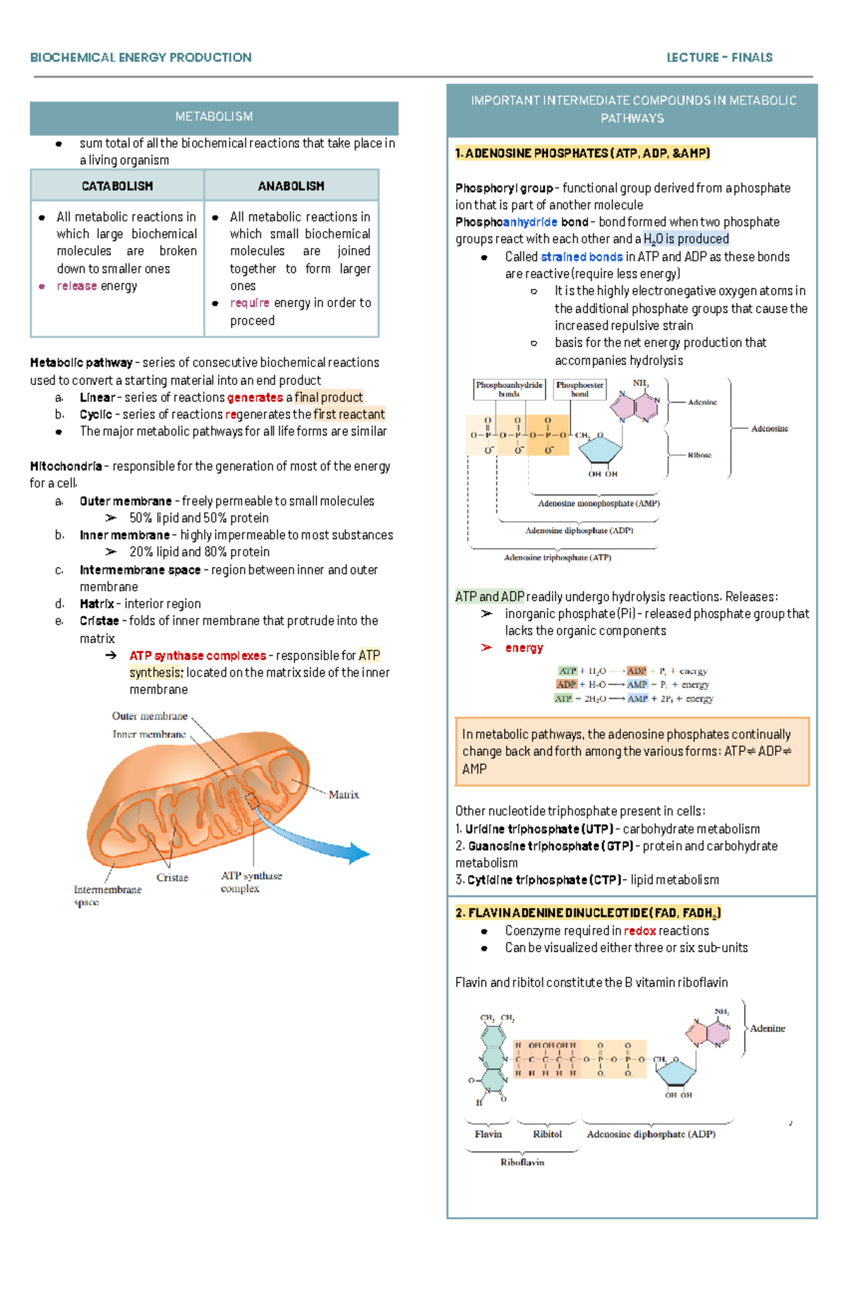 Biochem LEC Finals: Metabolism Overview and Key Pathways - Studocu