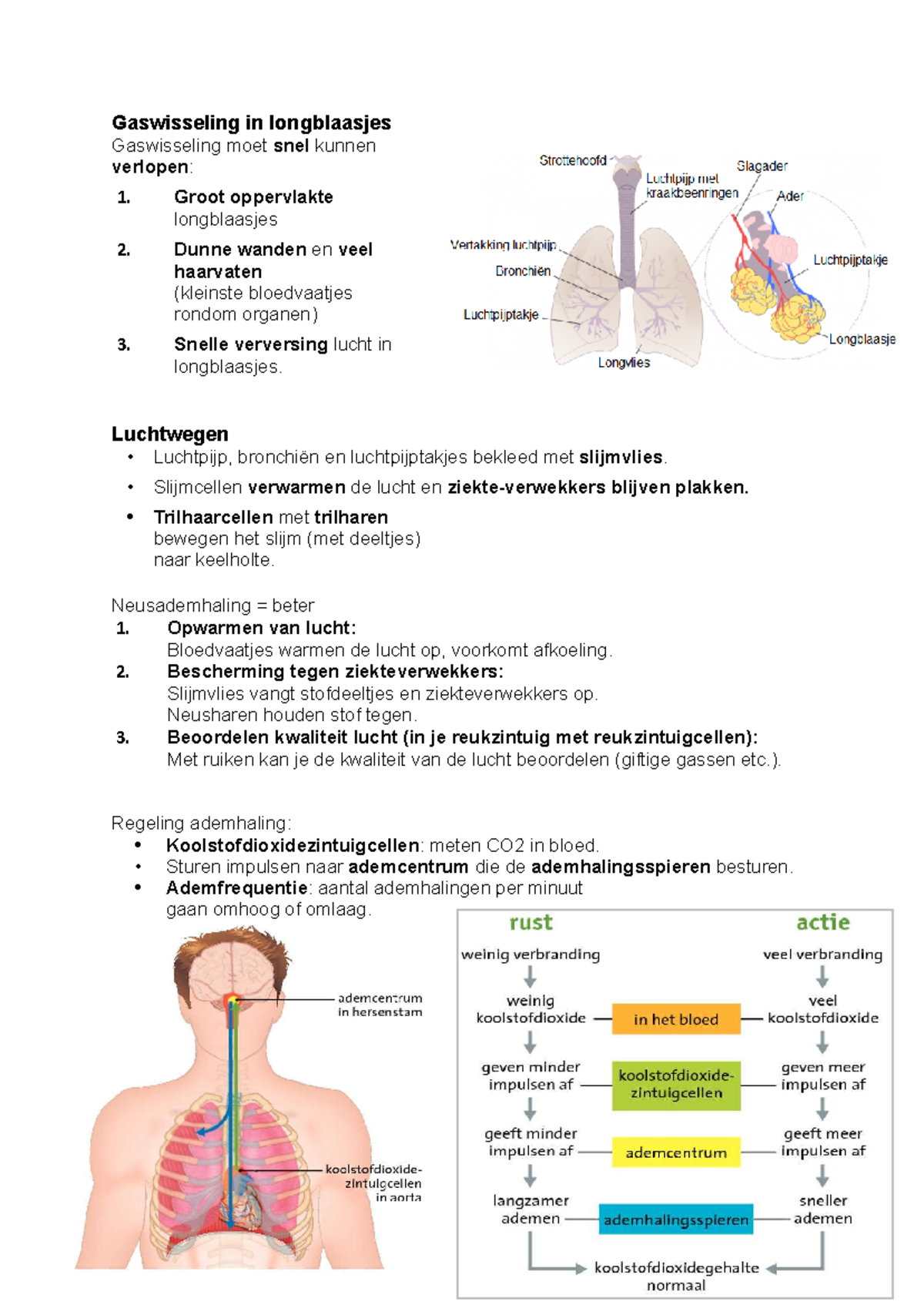biologie-8-1-9-5-gaswisseling-bloedvaten-en-immuniteit-in-het-lichaam