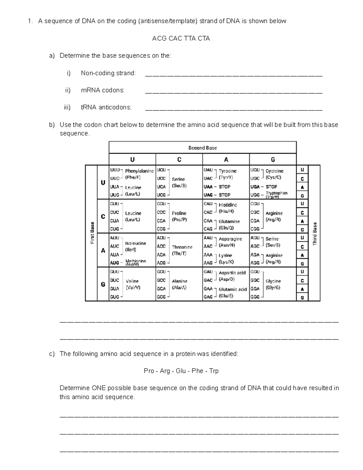 DNA Revision 2: Transcription, Translation, and Replication Insights ...