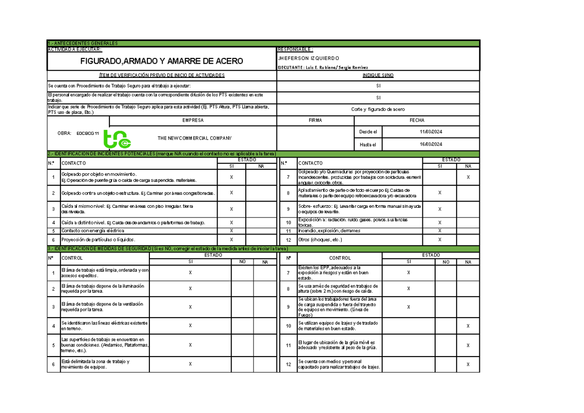 AST: Medidas de Seguridad en el Trabajado de Acero y Levantamiento - Document Preview