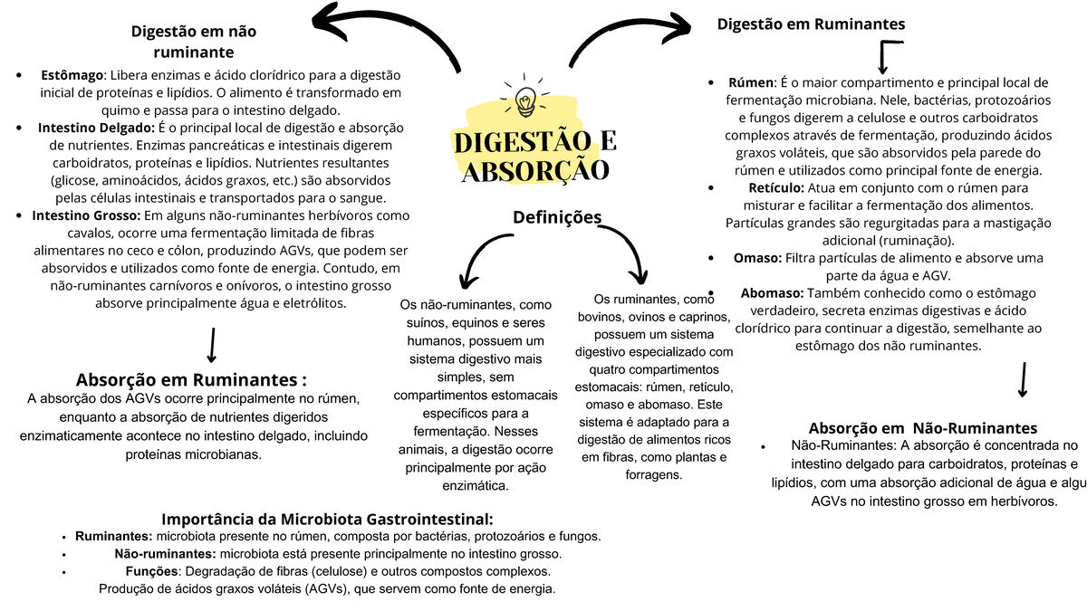 Digestão e Absorção em Ruminantes e Não-Ruminantes: Estudo Comparativo ...