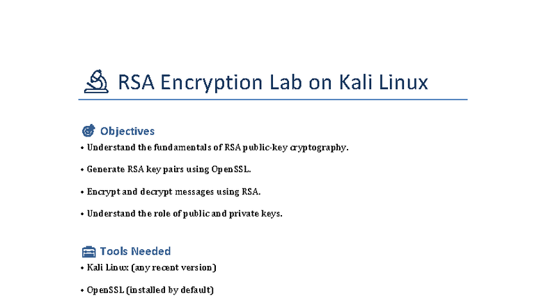 RSA Encryption Lab on Kali Linux: Key Generation & Message Security ...