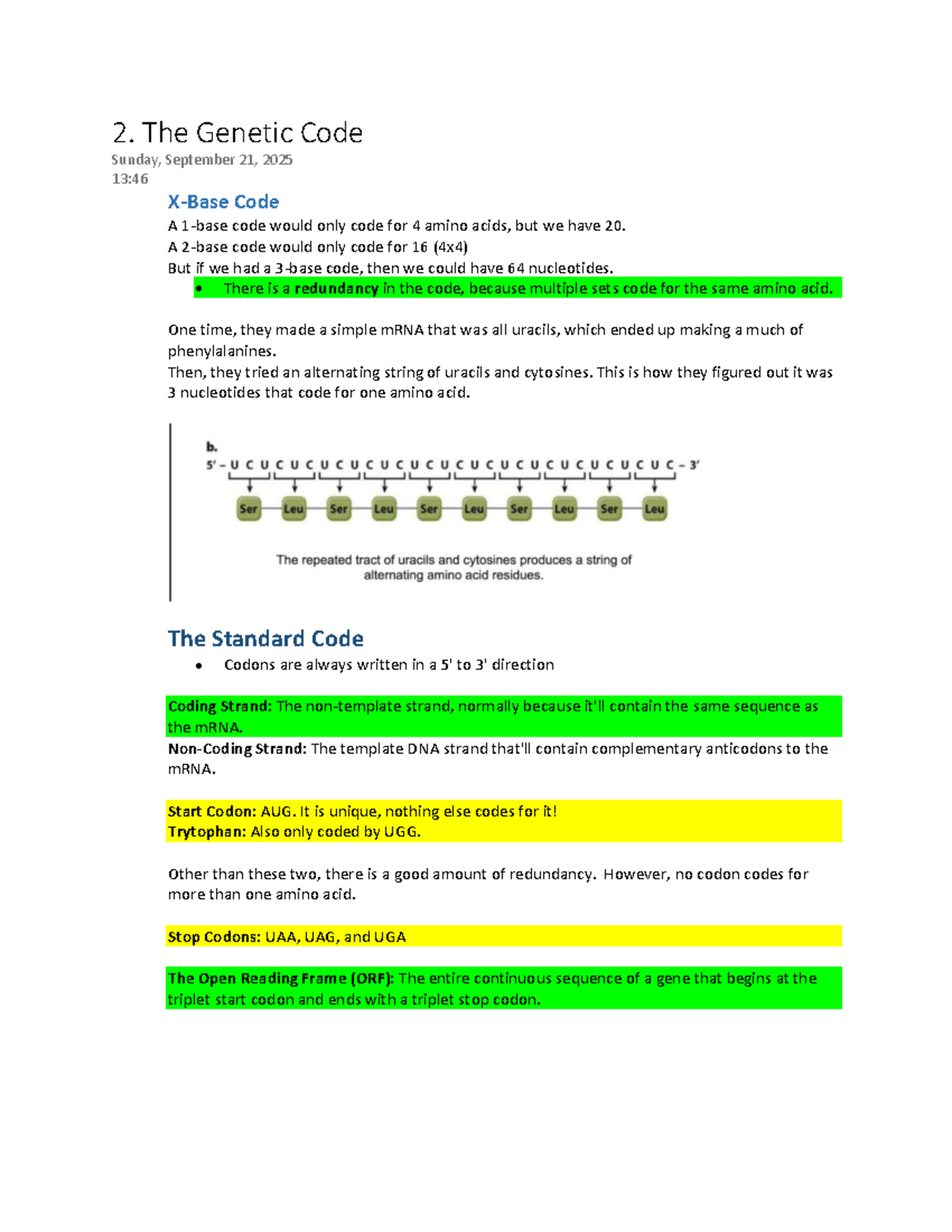 Genetic Code Notes: Understanding Codons and Amino Acids - Studocu