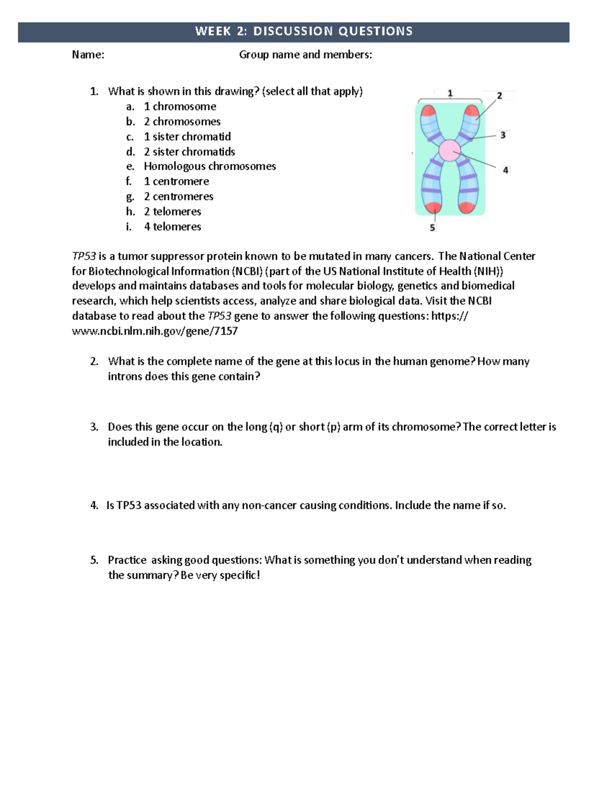 BIO101: Week 2 Discussion Questions on TP53 and Chromosomes - Studocu