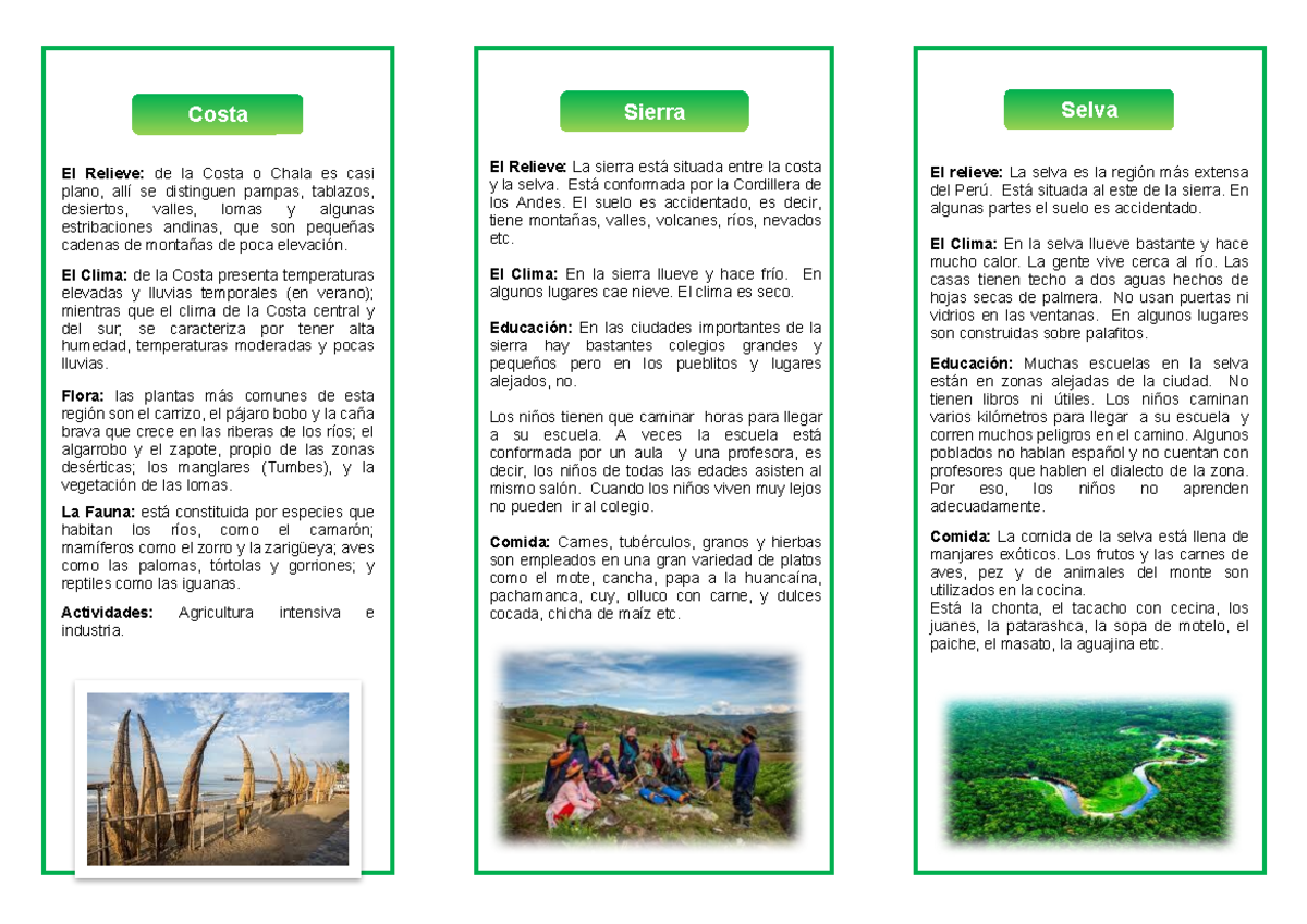 Triptico sobre las Regiones Naturales del Perú - 3er Grado Primaria