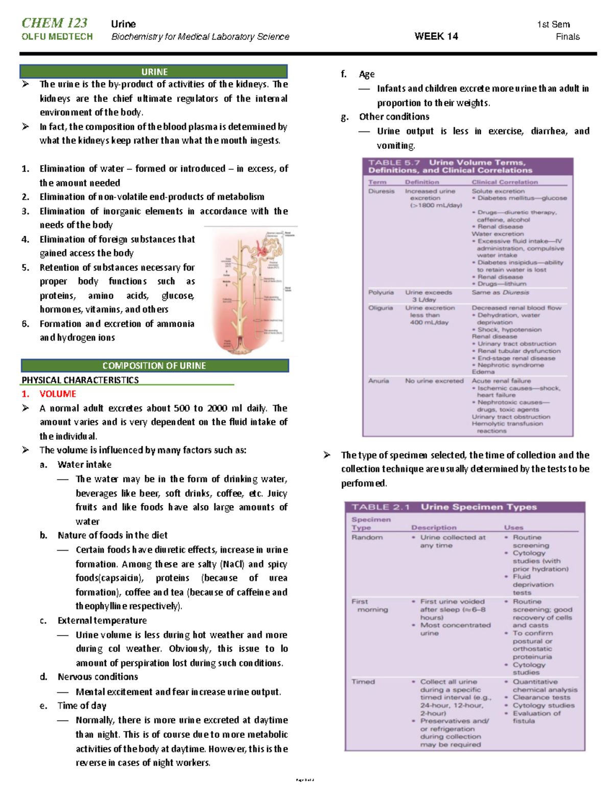 CHEM 123 WEEK 14 - Urine Composition and Characteristics Insights - Studocu