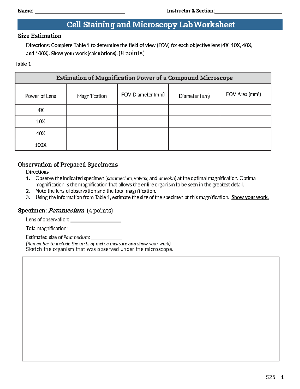 Cell Staining and Microscopy Worksheet PDF - Cell Staining and ...