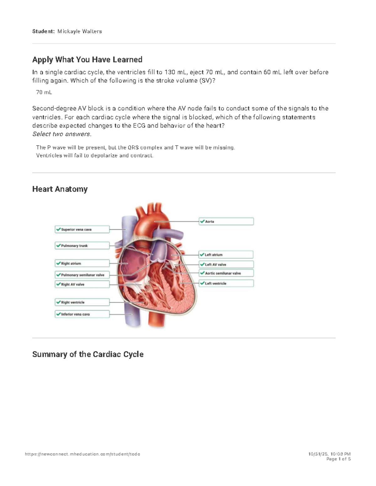 Cardio Lab: Understanding the Cardiac Cycle and ECG Analysis - Studocu