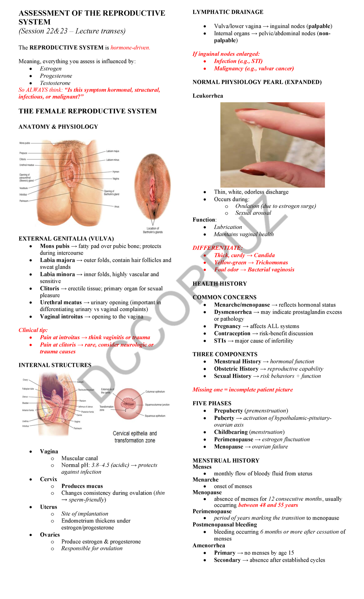 ASSESSMENT OF THE REPRODUCTIVE SYSTEM (Session Lecture Notes) - Studocu
