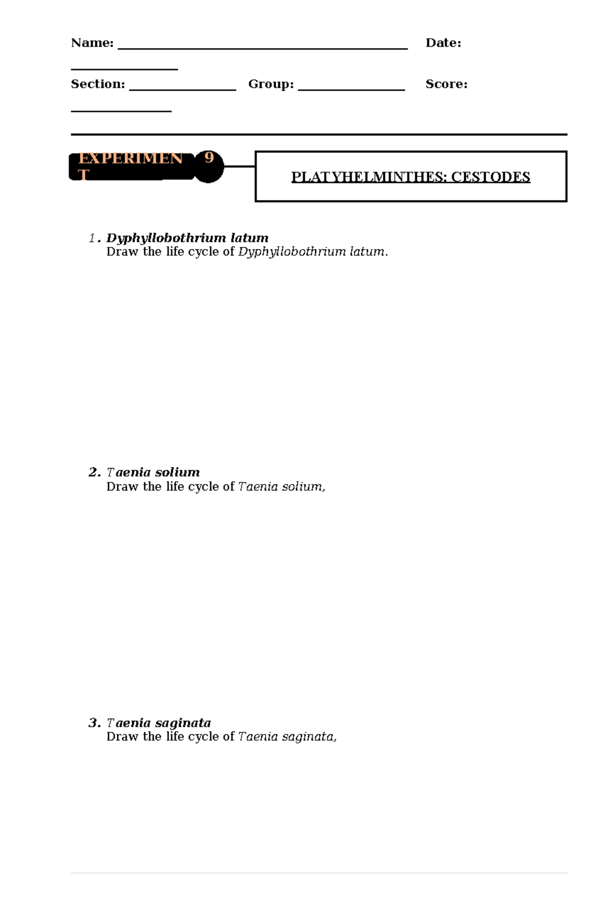 Activity+9+ Cestodes - Parasitology activity 9 - Name: - Studocu