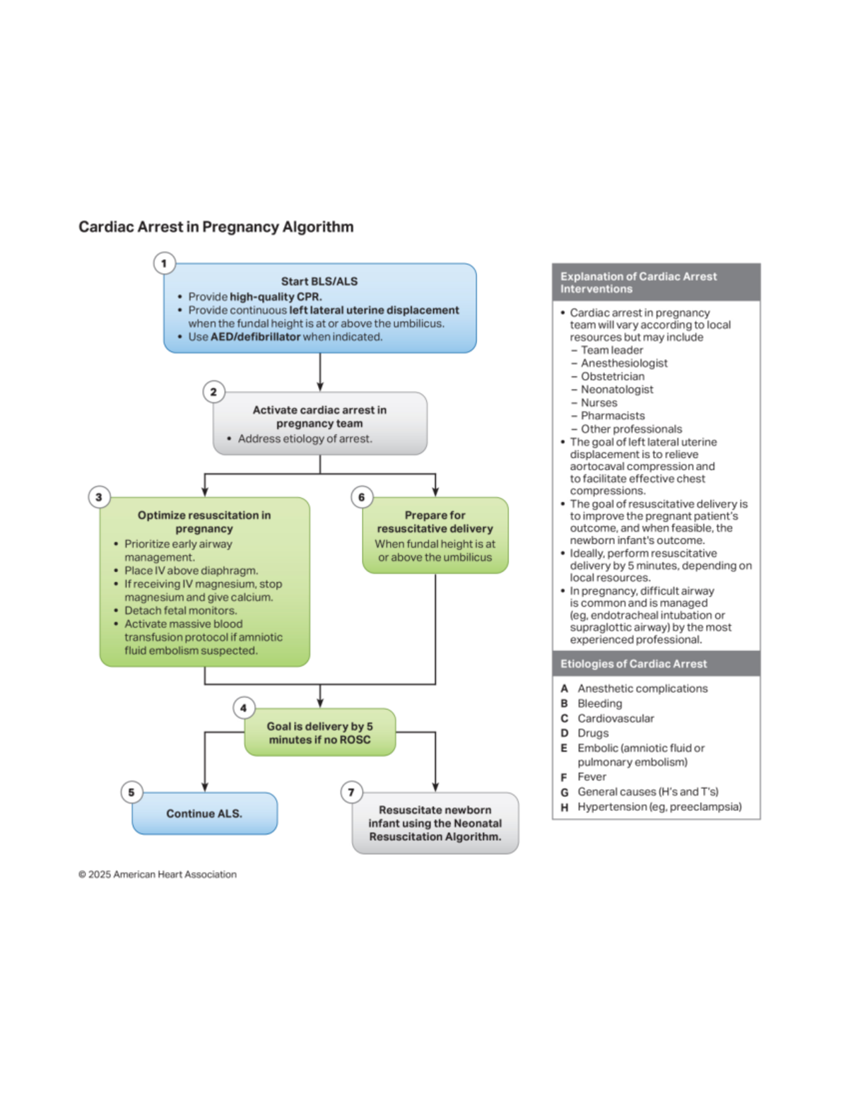 Cardiac Arrest in Pregnancy: Algorithm & Interventions Guide - Studocu