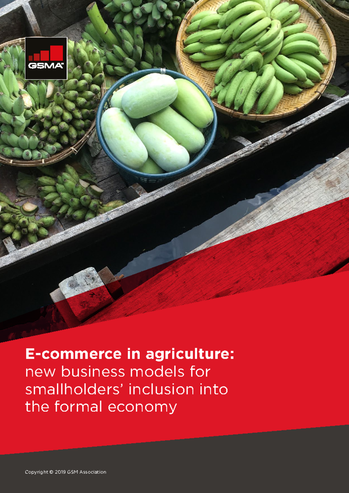 E-commerce -in agriculture new business models for smallholders ...