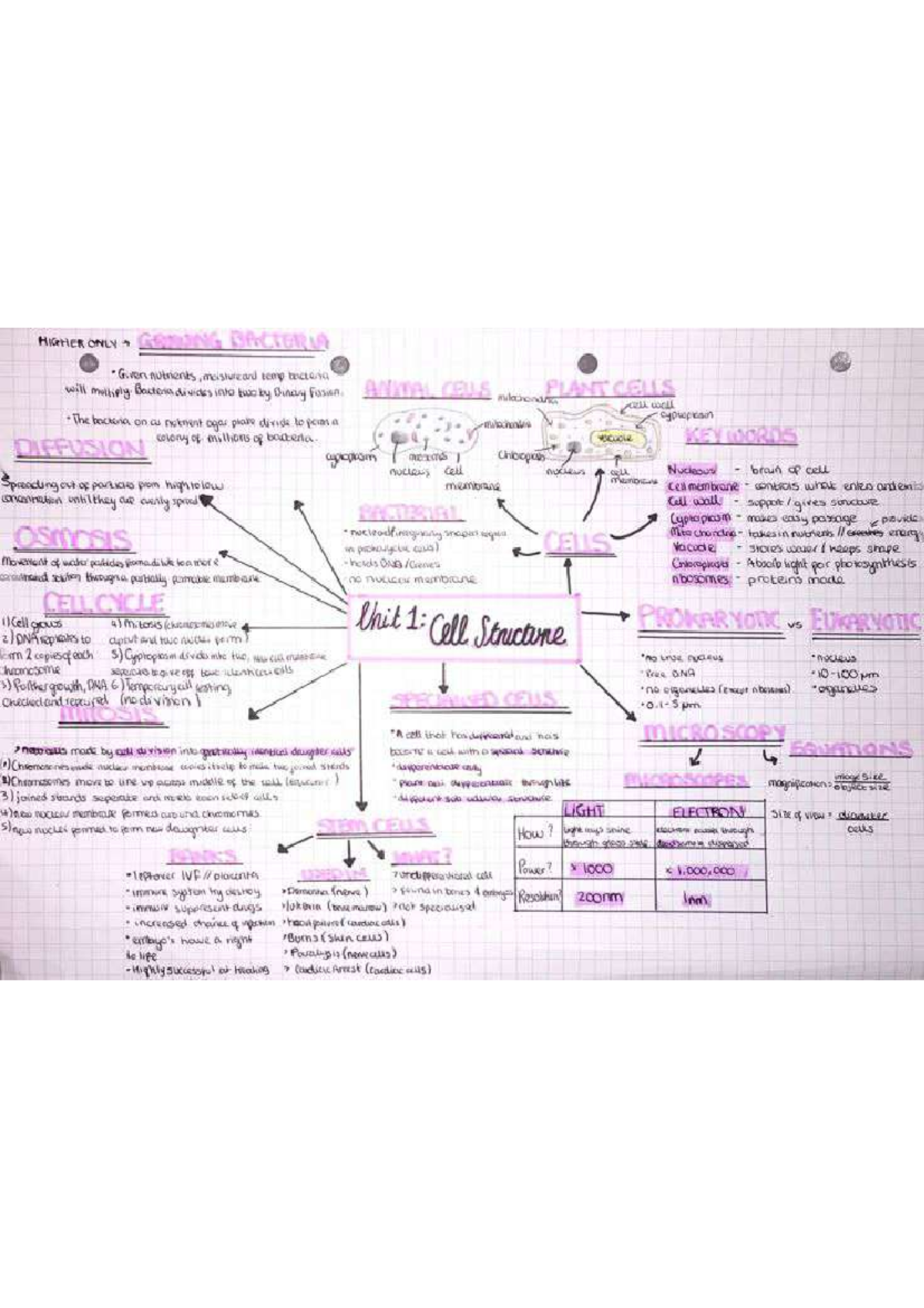 Biology 101: Cell Structure and Function Study Notes - Studocu