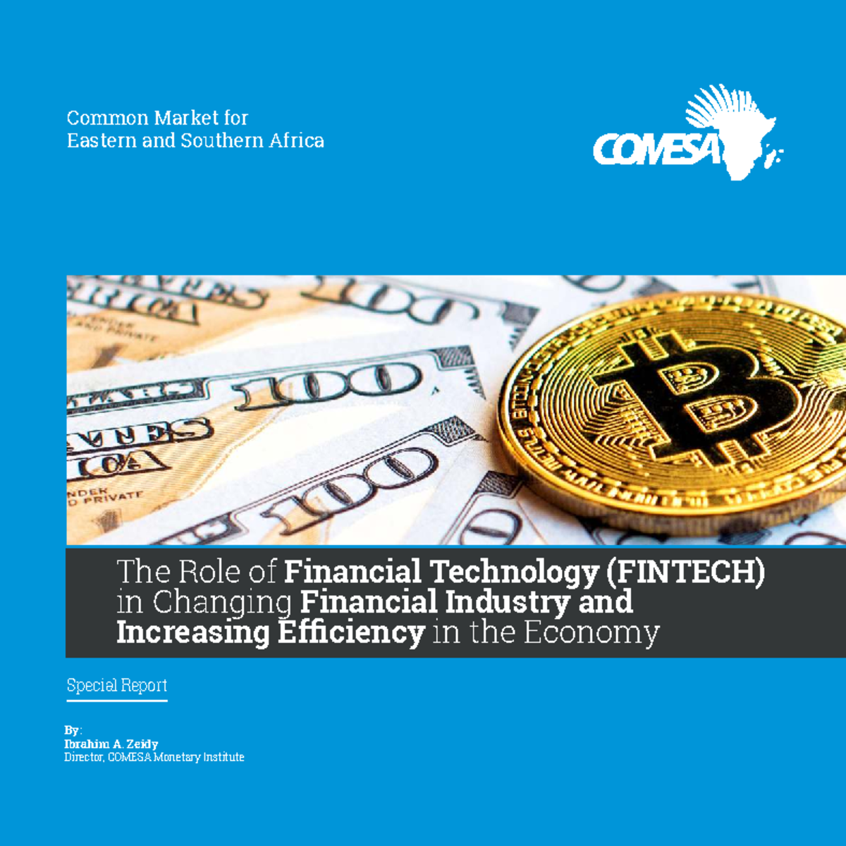 The Impact of FINTECH on the Financial Industry and Economic Efficiency ...