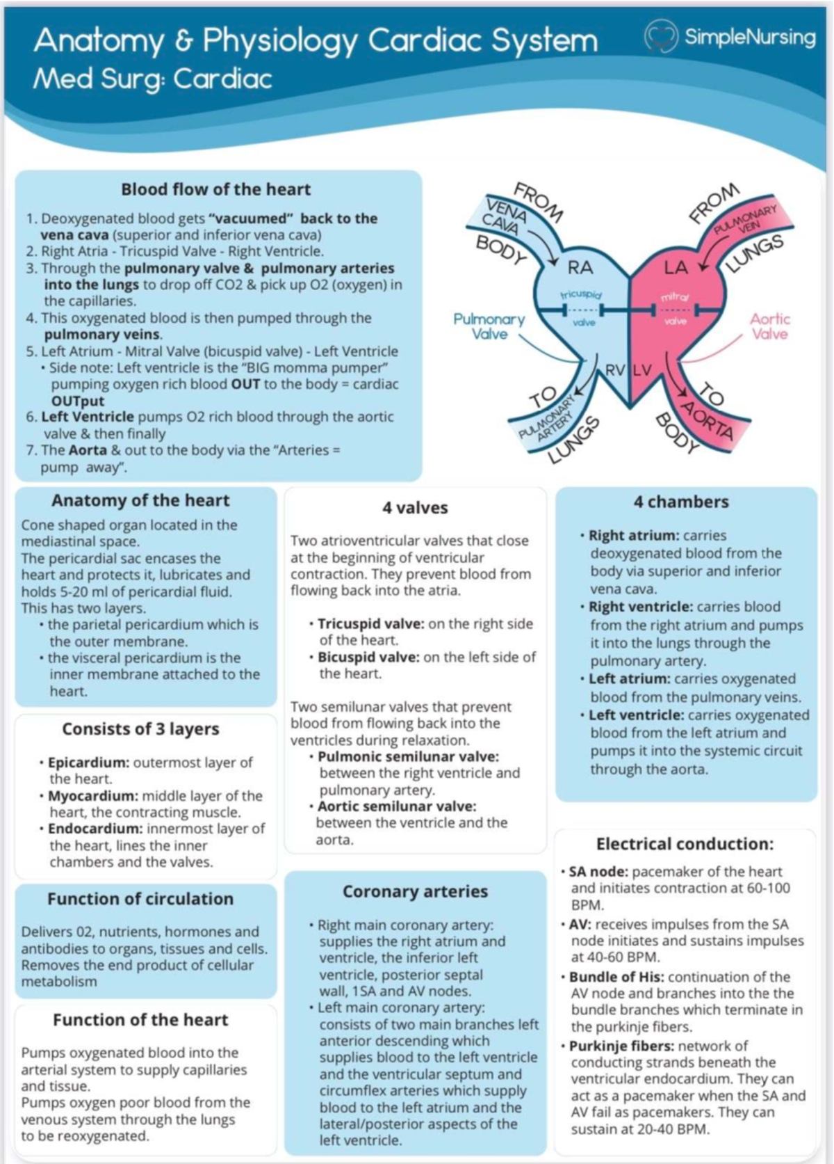 Med Surg: Cardiac System Overview and Key Concepts - Studocu