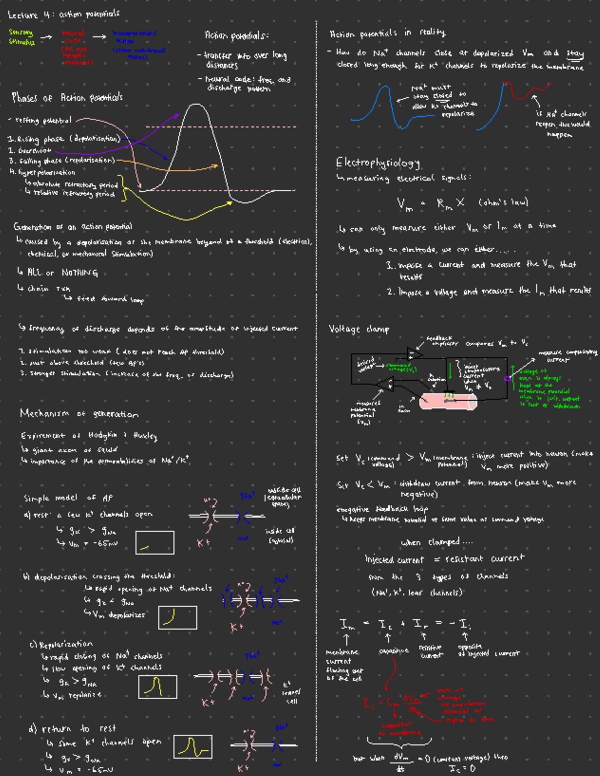 Midterm 1 Notes - Neurobio - Lecture 4 : action potentials sensory ...