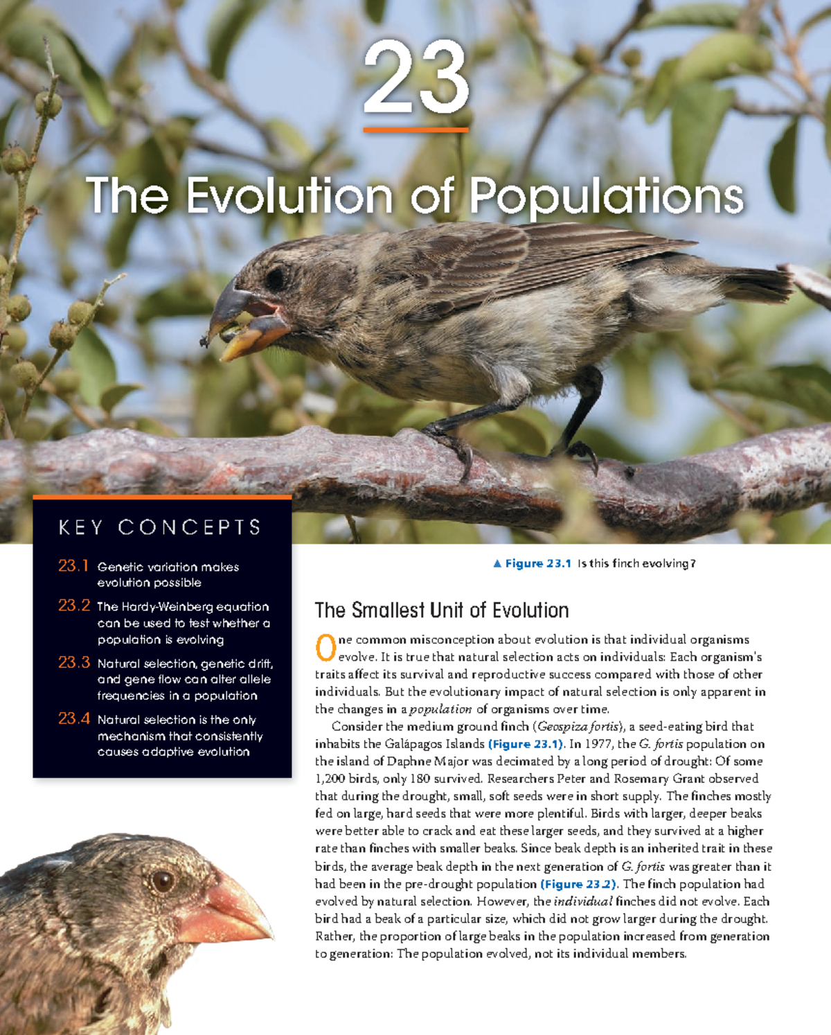 Lesson 3 - Evolution of Populations and Microevolution Dynamics - Studocu