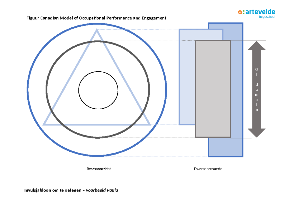CMOP-E Case Study: Paula's Occupational Engagement & Intervention - Studocu