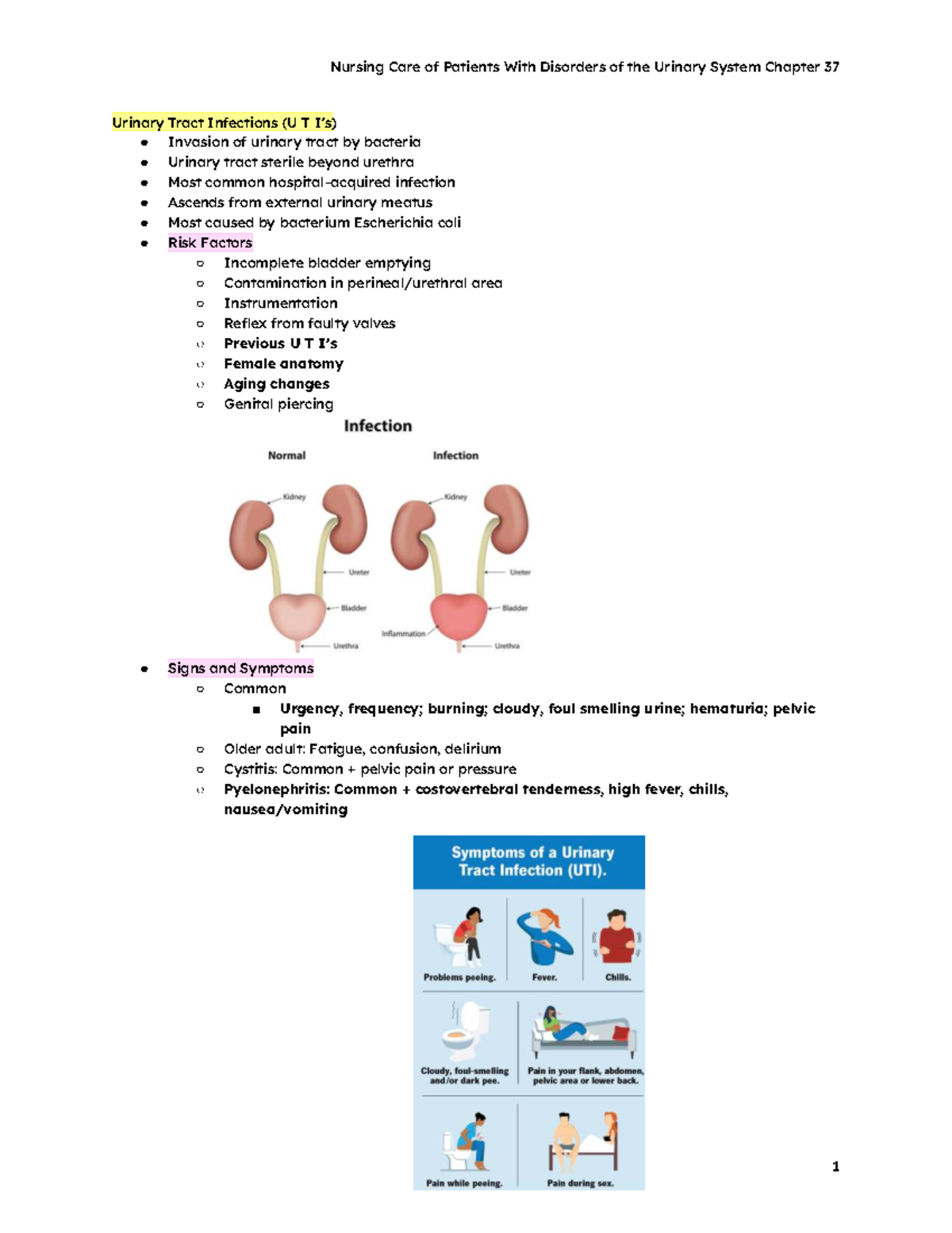 Nursing Care for Urinary System Disorders - Chapter 37 Notes Summary ...