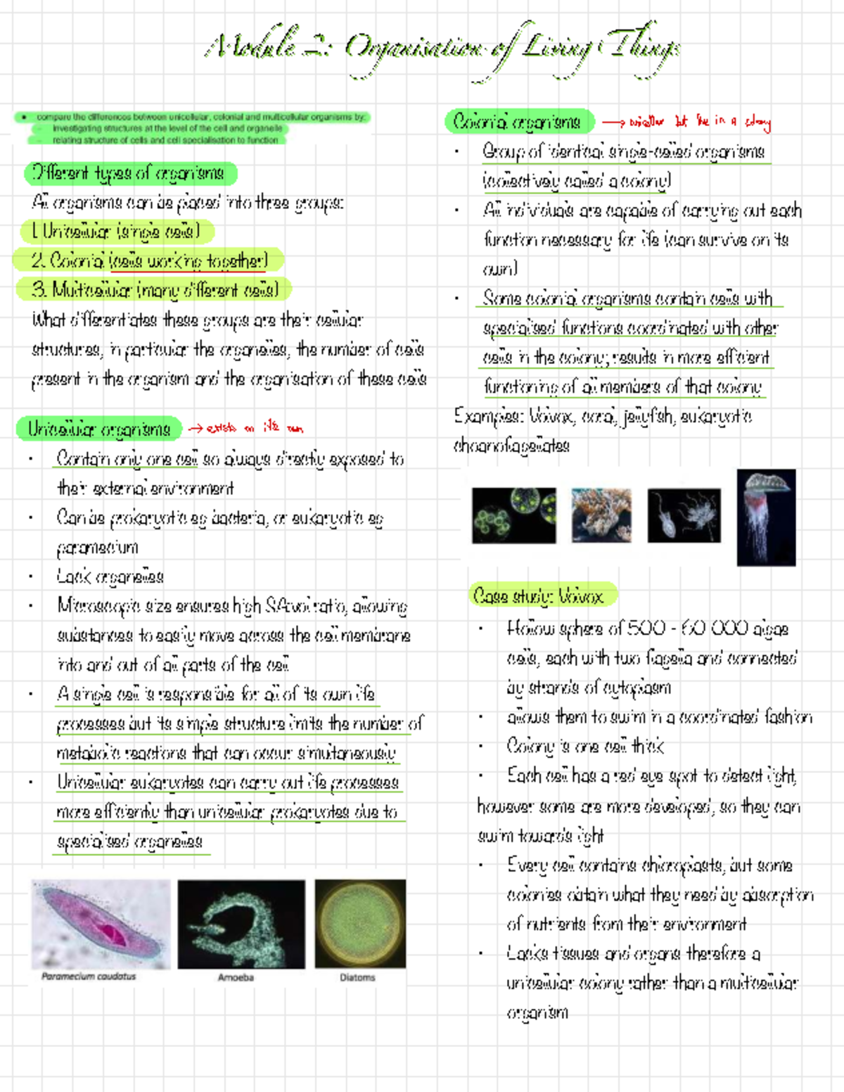 Preliminary Module 2: Organisation of Living Things - Biology Overview ...