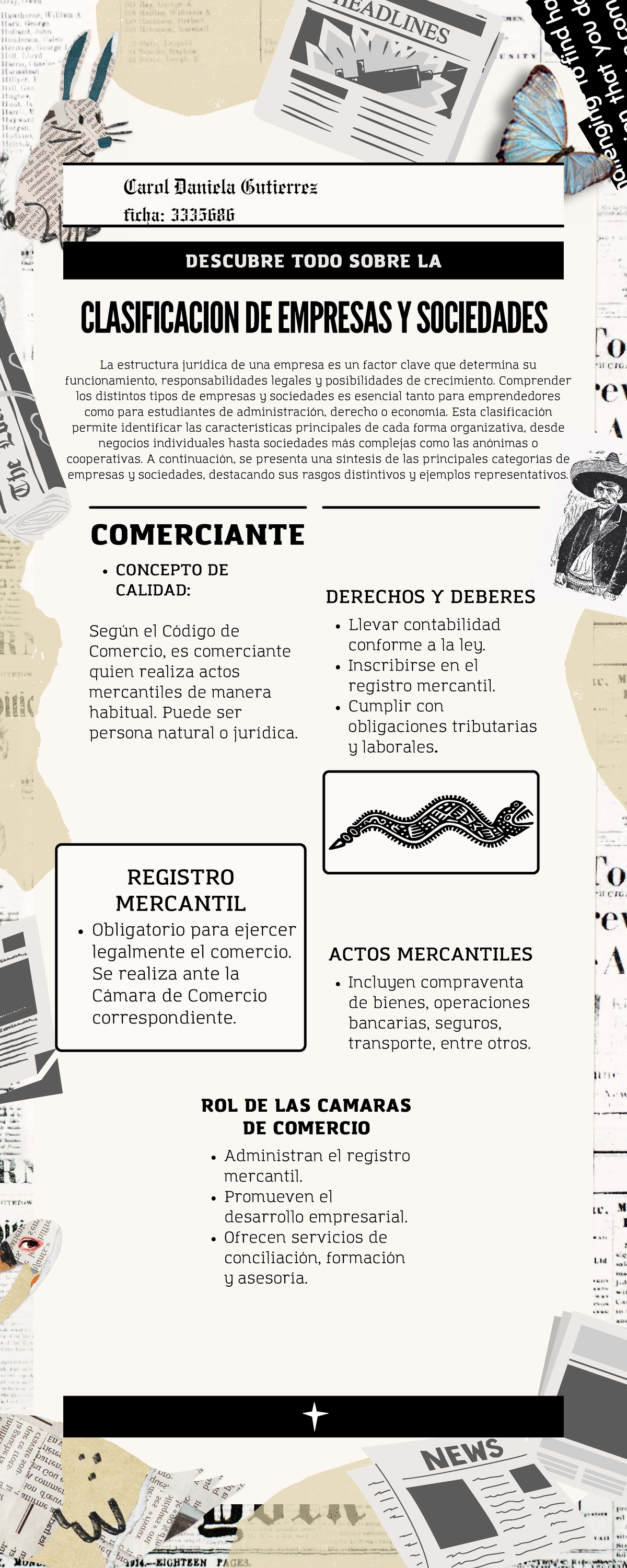Clasificación de Empresas y Sociedades: Guía Completa para ...