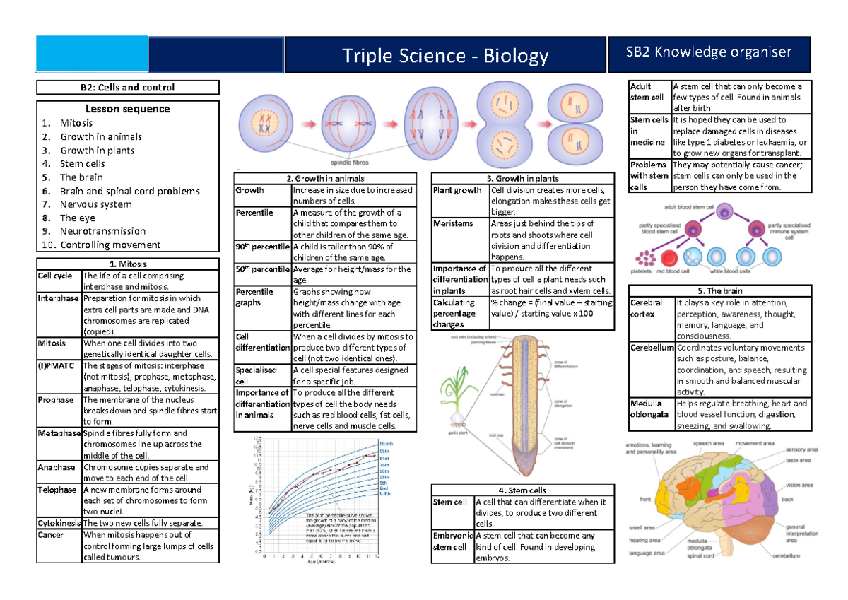 Triple Science Biology B2: Stem Cells and Growth in Animals & Plants ...