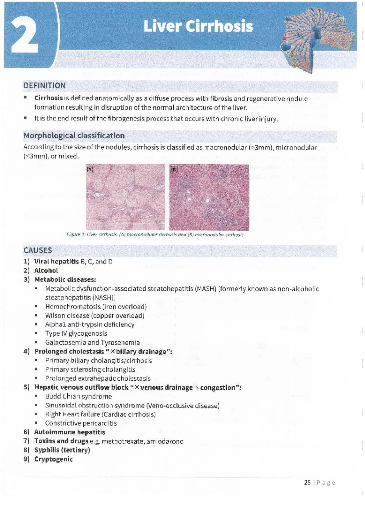 ACUTE LIVER FAILURE: DEFINITION, PATHOGENESIS, AND MANAGEMENT (HPT 101 ...