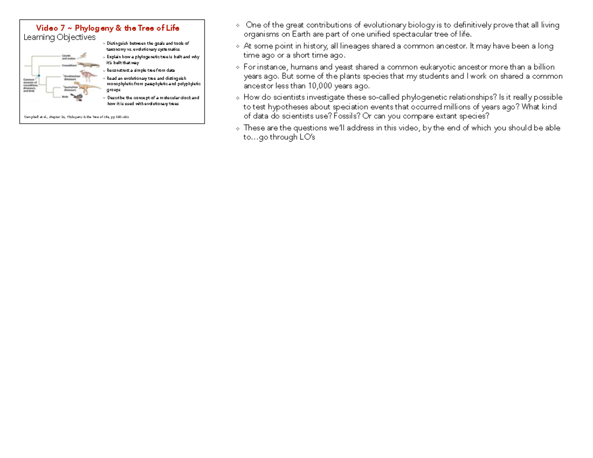 V7 Phylogeny: Understanding the Tree of Life and Taxonomy Concepts ...