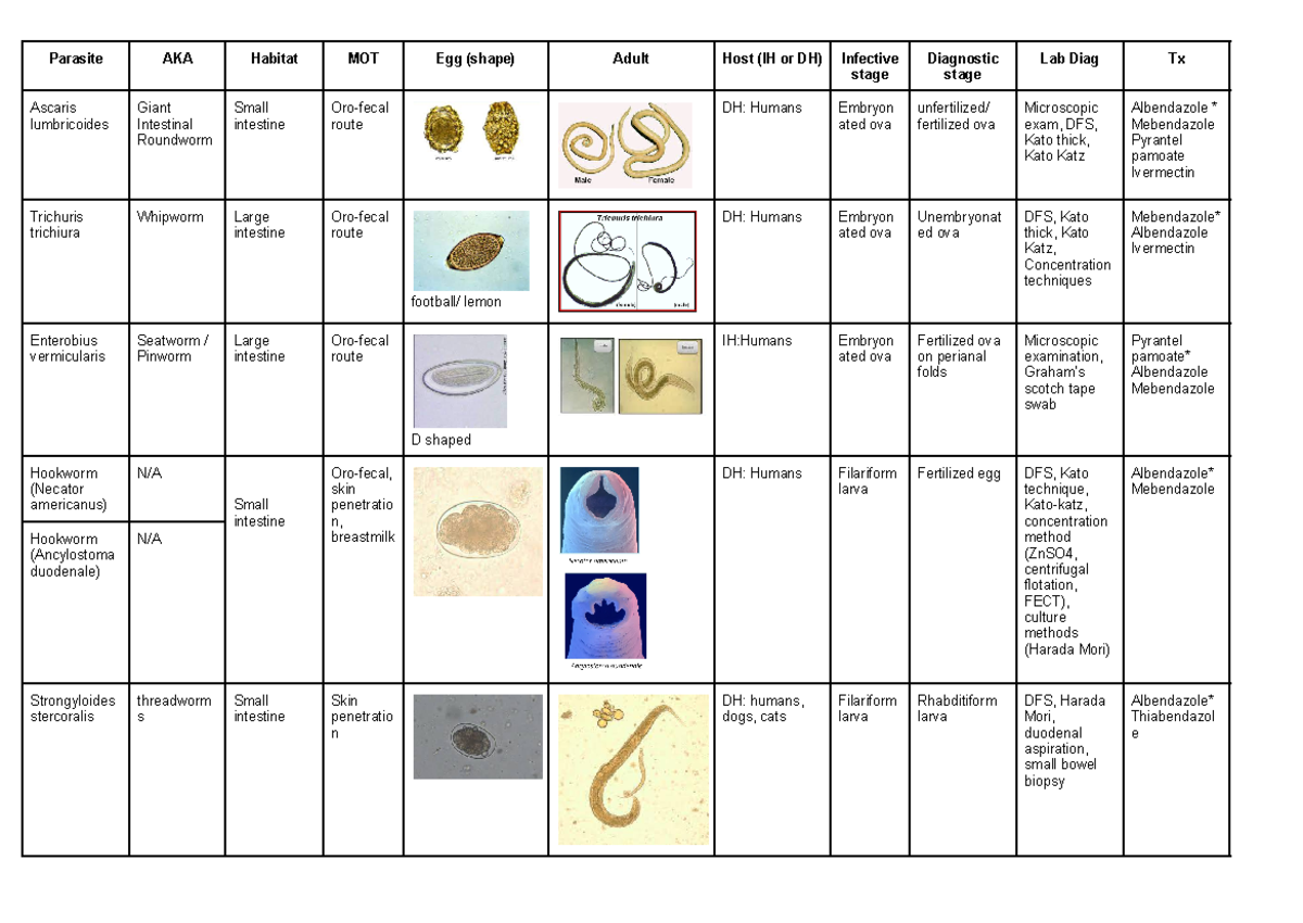 Clinical Parasitology Table: Egg & Adult Hosts Analysis (CP-Exam) - Studocu