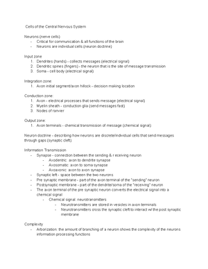 Genetics Exam 2 Study Notes: DNA Structure & Replication Insights - Studocu